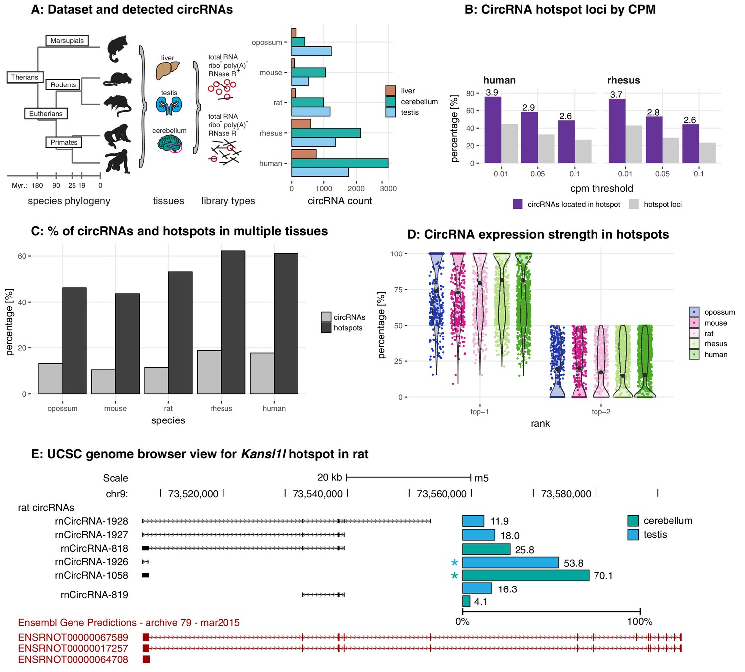 Gruhl_et_al_2021