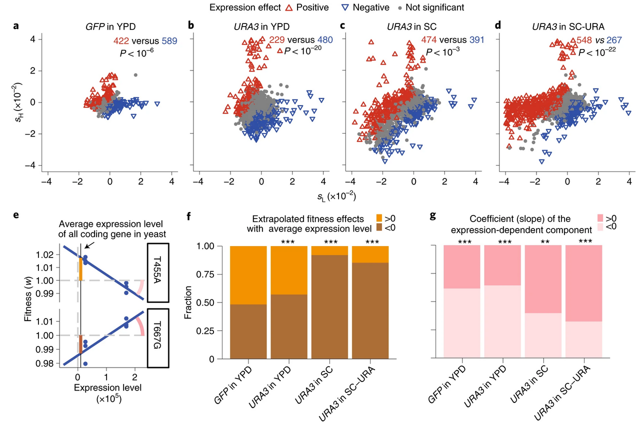 Fig3_JC_AFCC